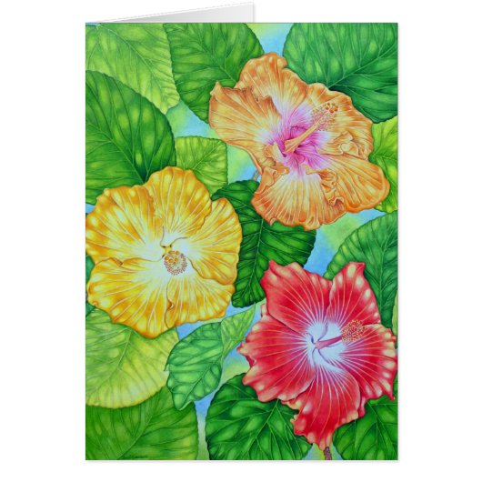 Hawaiian Hibiscus Cards (Front)