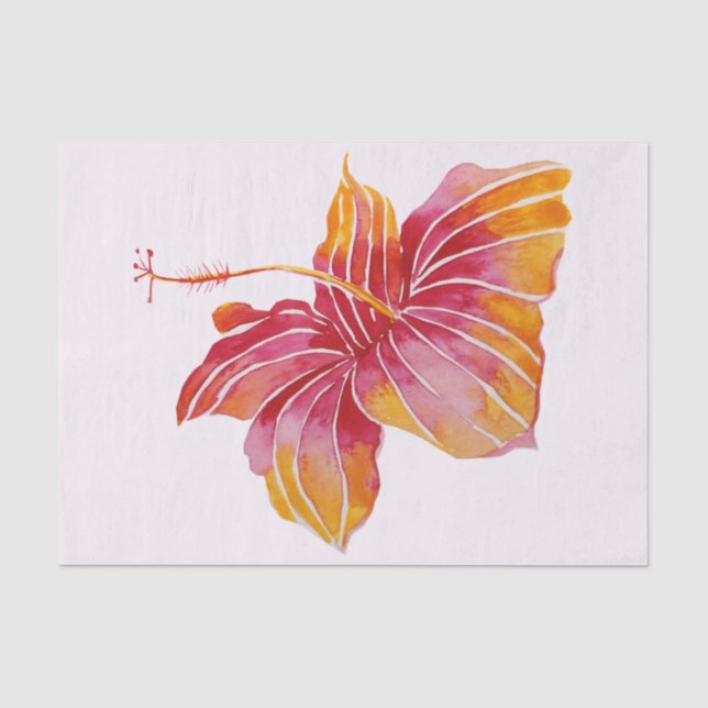 Hawaiian Hibiscus Flower 10lb Tissue Paper, White Paper (Front)