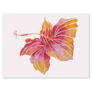 Hawaiian Hibiscus Flower 10lb Tissue Paper, White Tissue Paper