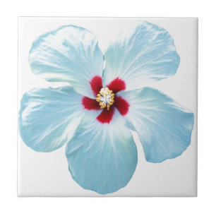 Hawaiian Hibiscus Flower Ceramic Tile