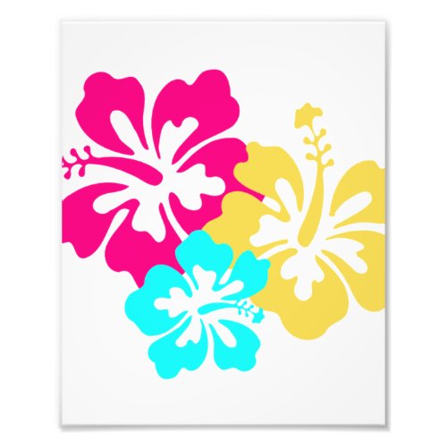 Hawaiian Hibiscus Flowers Photo Print