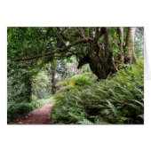 Hawaiian Hiking Trail (Front Horizontal)