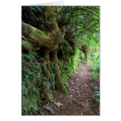 Hawaiian Hiking Trail (Front)