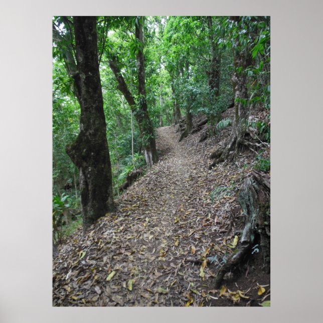 Hawaiian Hiking Trail Poster (Front)