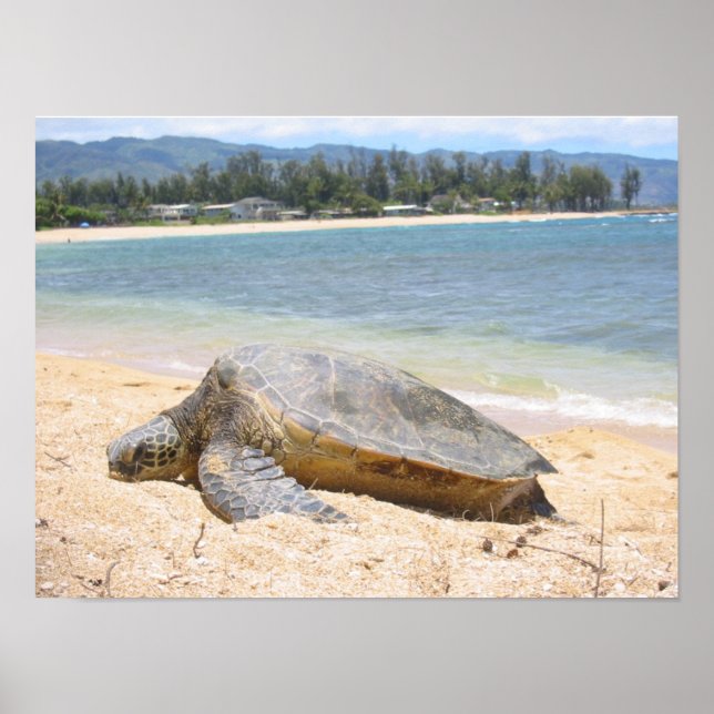 Hawaiian Honu Poster (Front)