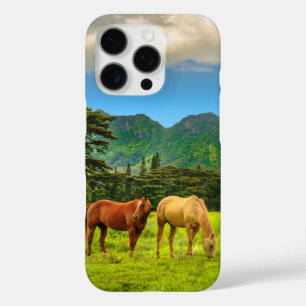 Hawaiian Horses, Hokulei Peak, Kauai, Hawaii iPhone 16 Pro Case