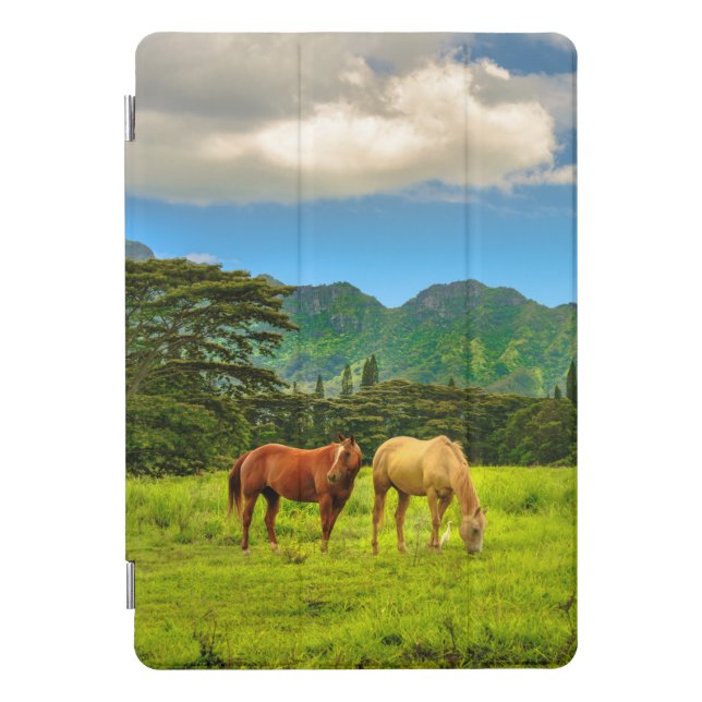 Hawaiian Horses, Hokulei Peak, Kauai, Hawaii iPad Pro Cover (Front)