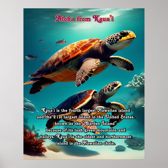 Hawaiian islands Kauai Aloha  Poster (Front)