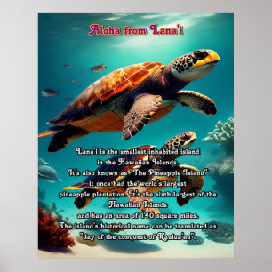 Hawaiian islands Lanai Aloha Poster