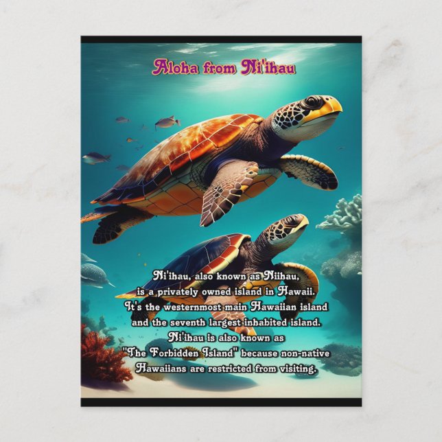 Hawaiian islands Niihau Aloha  Postcard (Front)