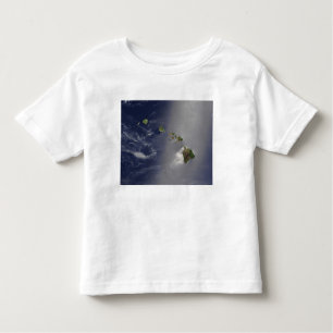 Hawaiian Islands Toddler T-shirt