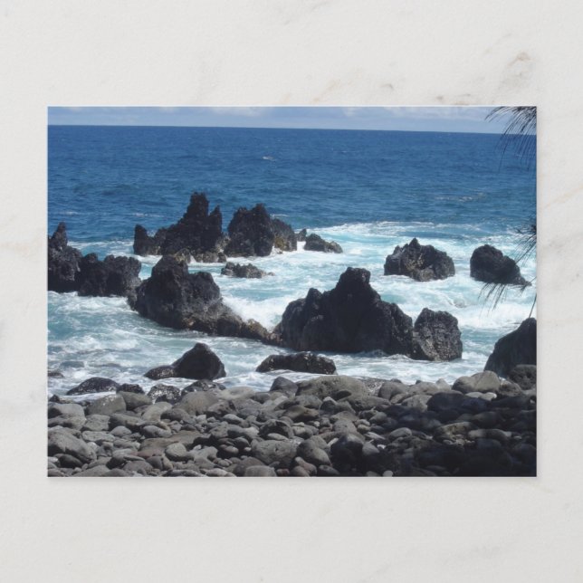 Hawaiian Kine Photos Postcard (Front)