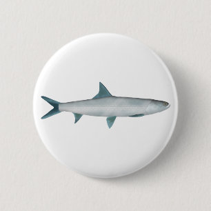 Hawaiian Ladyfish Button