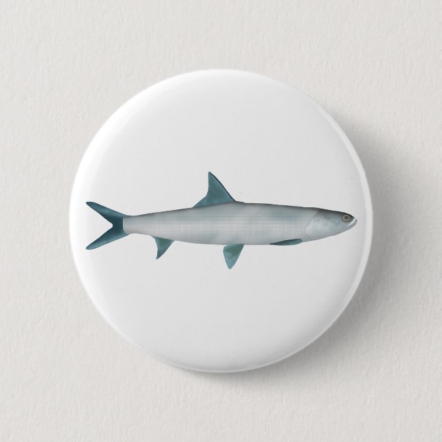 Hawaiian Ladyfish Button (Front)