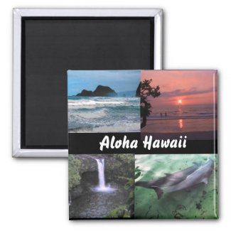 Hawaiian Landscape Collection Magnet