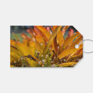 Hawaiian Landscape Photo Gift Tags