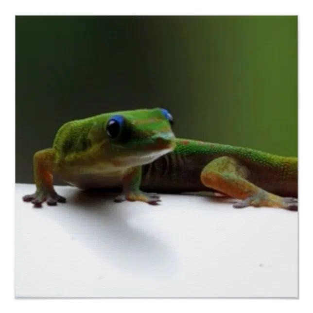 Hawaiian lizard Gecko Poster | Zazzle