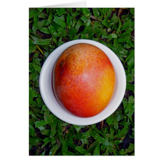 Hawaiian Mango Cards (Front)