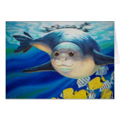 Hawaiian Monk Seal (Front Horizontal)