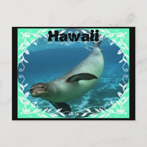 Hawaiian monk seal postcard