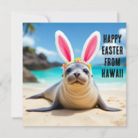 Hawaiian monk seal with bunny ears