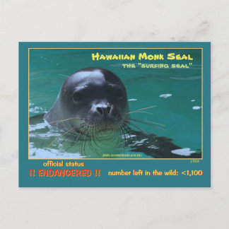 Hawaiian monk seals are facing extinction = postcard