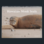 Hawaiian Monk Seals Calendar<br><div class="desc">In Hawaiian, Monk seals name is 'īlio holo i ka uaua, which means “dog that runs in rough water.” Monk seals are native to Hawaii and live throughout the Hawaiian archipelago. Monk seals are found nowhere else and are one of the most endangered species in the world. There are currently...</div>
