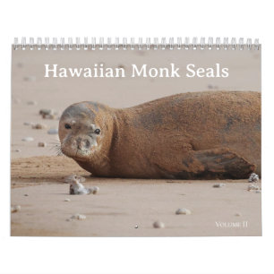 Hawaiian Monk Seals Calendar