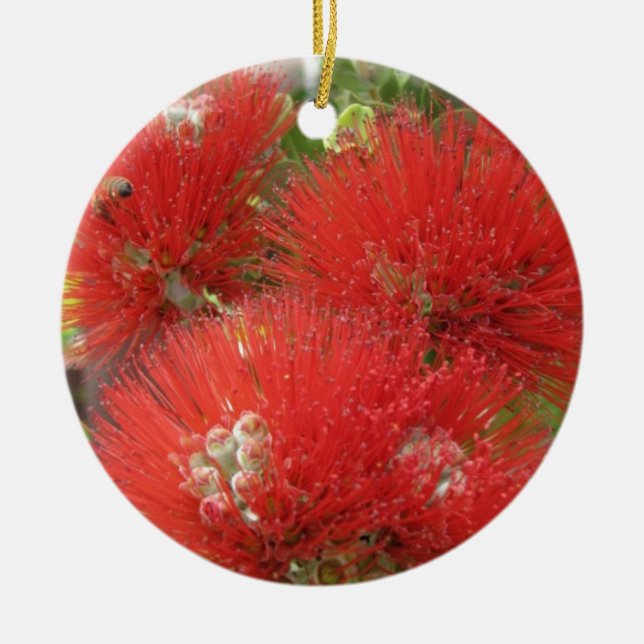 Hawaiian Native Ohia Lehua Flower Design Ceramic Ornament (Front)
