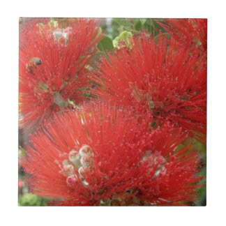 Hawaiian Native Ohia Lehua Flower Design Ceramic Tile