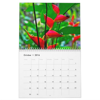 Hawaiian nature calendar. calendar