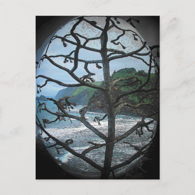 Hawaiian Ocean Beach Tree Photo Spotlight Postcard (Front)