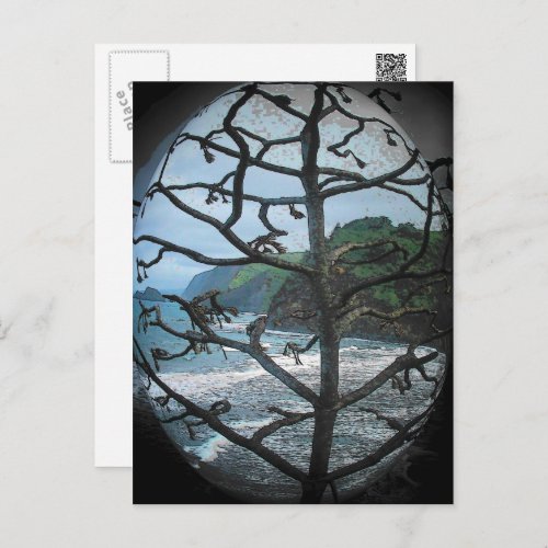 Hawaiian Ocean Beach Tree Photo Spotlight Postcard