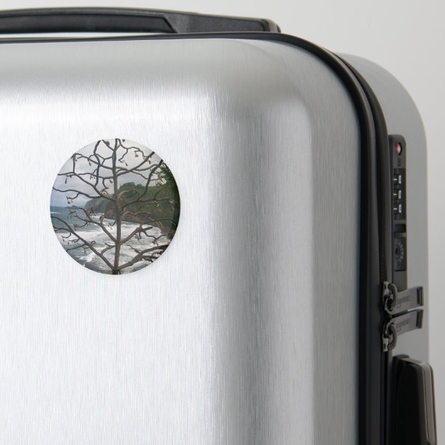 Hawaiian Ocean Beach Tree Photo View Magnet (In Situ (Luggage))