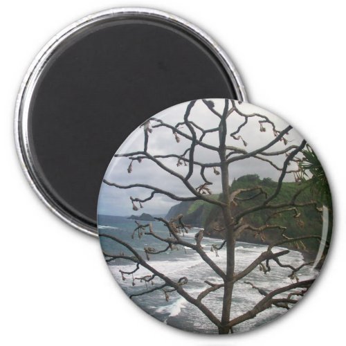 Hawaiian Ocean Beach Tree Photo View Magnet