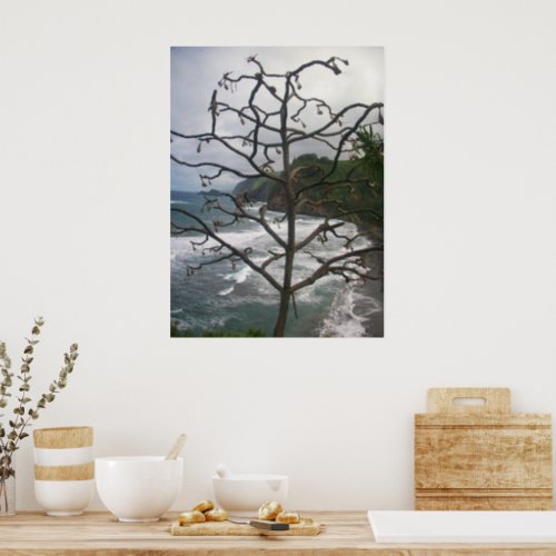Hawaiian Ocean Beach Tree Photo View Poster