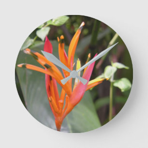 Hawaiian Orange Bird of Paradise Flower Square Wal Round Clock