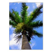 Hawaiian Palm Tree (Front)