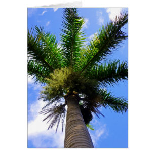 Hawaiian Palm Tree