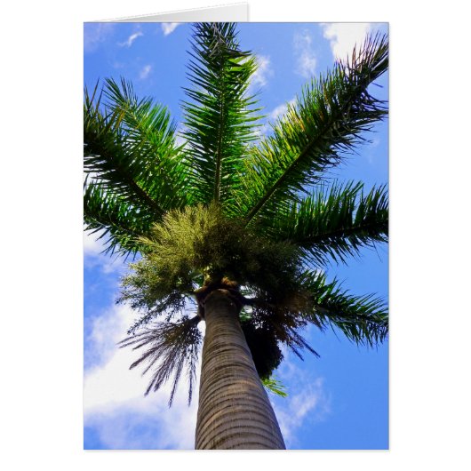 Hawaiian Palm Tree Cards (Front)
