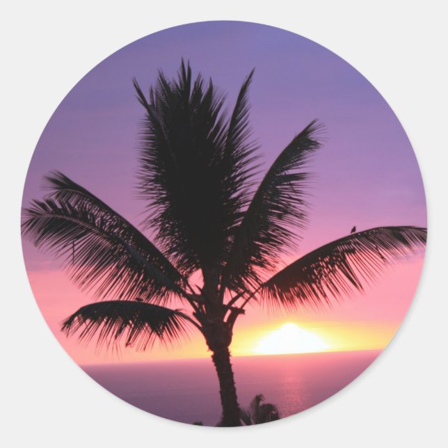 Hawaiian Palm Tree & Colorful Sunset Classic Round Sticker (Front)