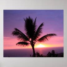 Hawaiian Palm Tree & Colorful Sunset