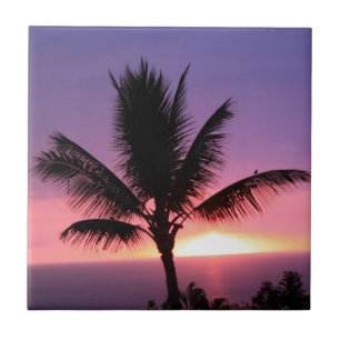 Hawaiian Palm Tree & Colorful Sunset Tile