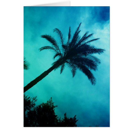 Hawaiian Palm Trees Cards (Front)
