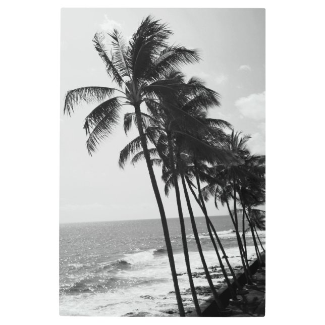Hawaiian Palm Trees Metal Wall Art (Front)