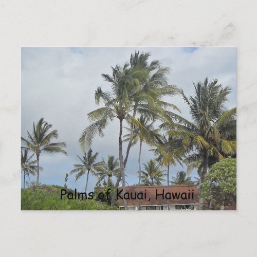 Hawaiian Palm Trees Postcard