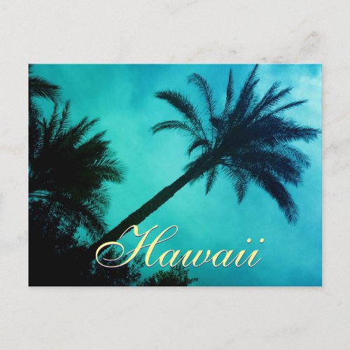 Hawaiian Palm Trees Postcard