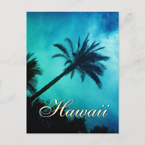 Hawaiian Palm Trees Postcard