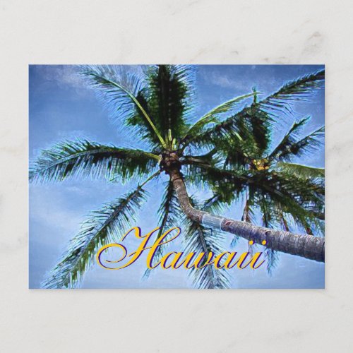 Hawaiian Palm Trees Postcards