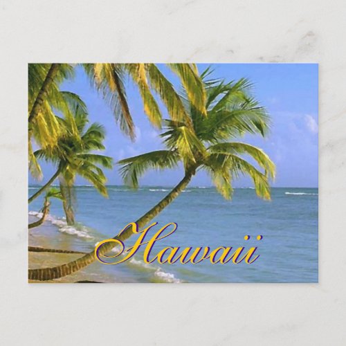 Hawaiian Palm Trees Script Postcards